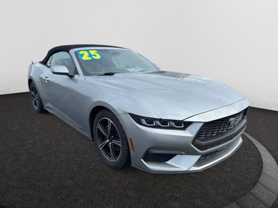 2025 Ford Mustang EcoBoost Premium Convertible